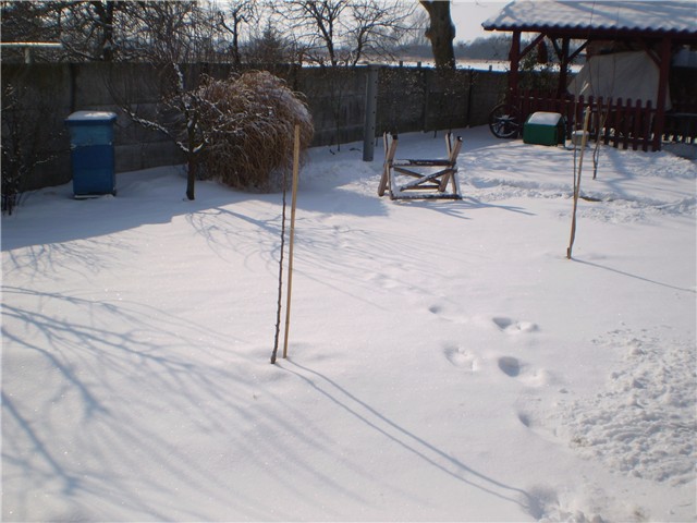 dvorište